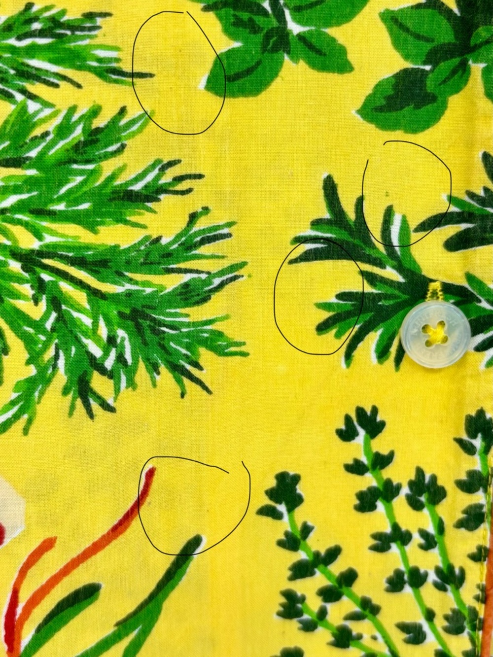 Print Fresh Short Pajama Set in Citrine Herb Garden - Picture 14 of 14